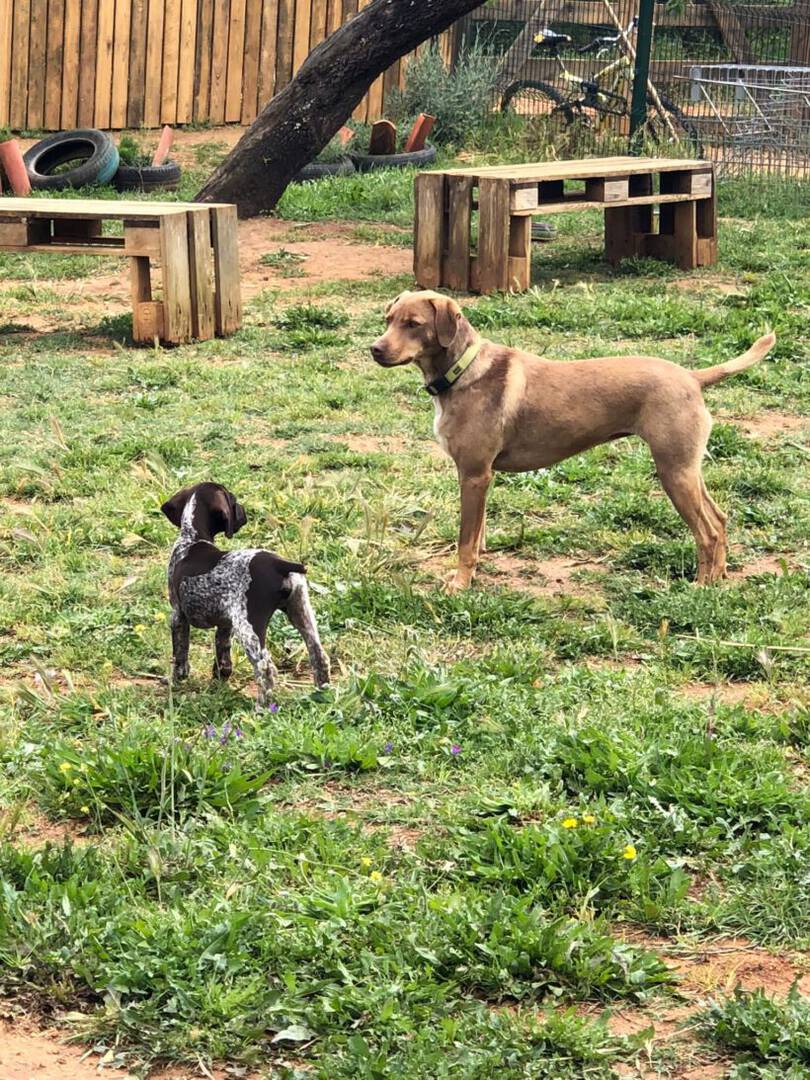 Lucy