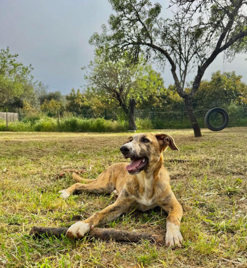 Luna