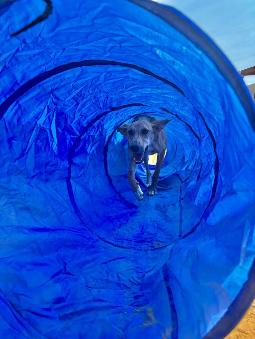Rocket