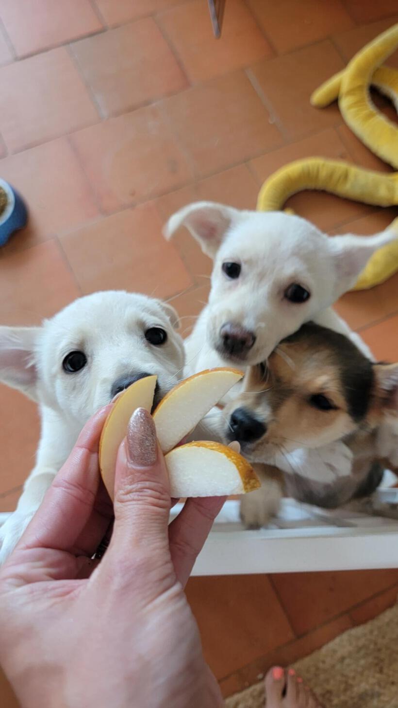 Piña