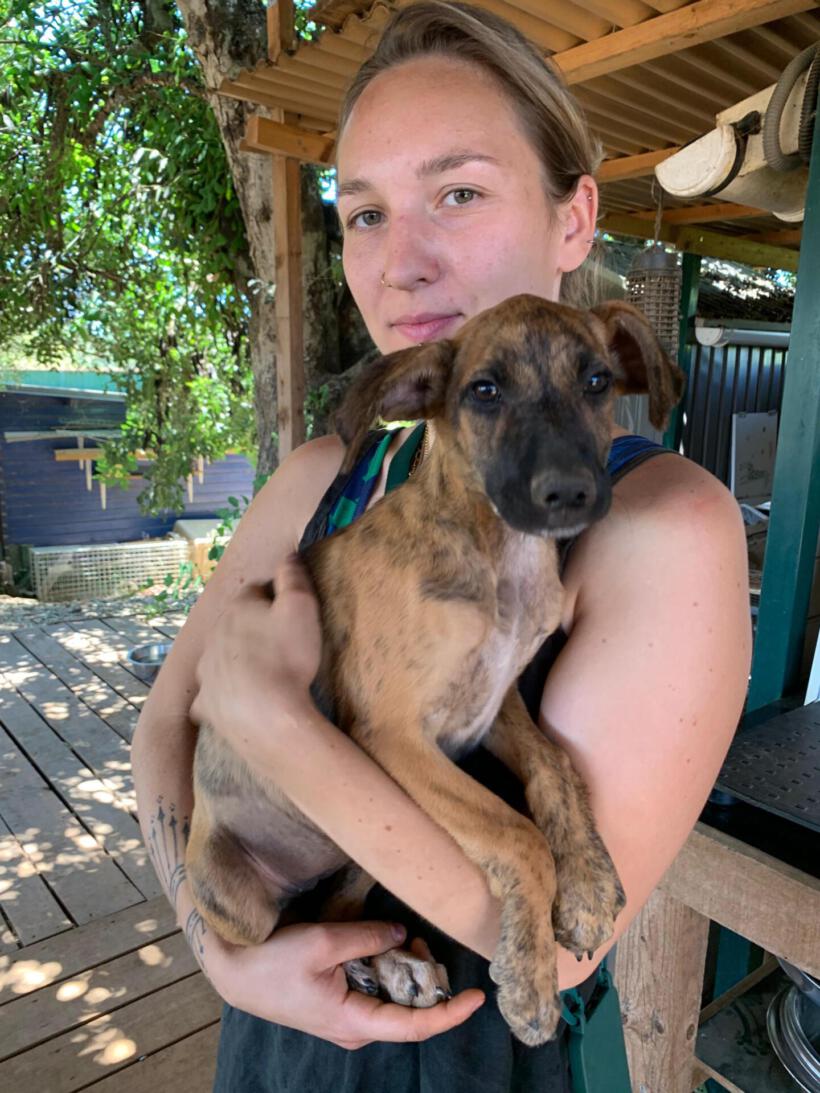 Peanut