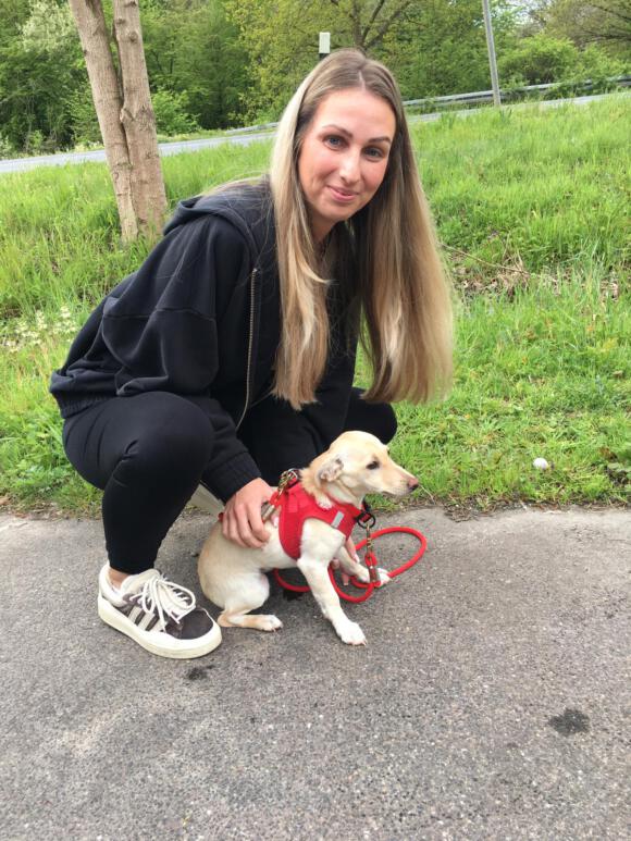 Lumi
