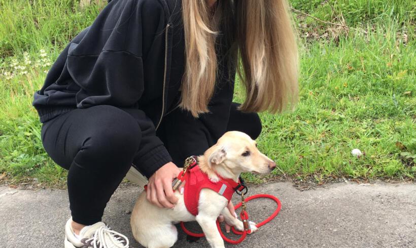 Lumi